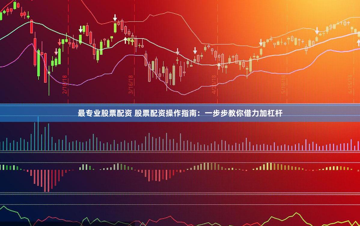 最专业股票配资 股票配资操作指南：一步步教你借力加杠杆