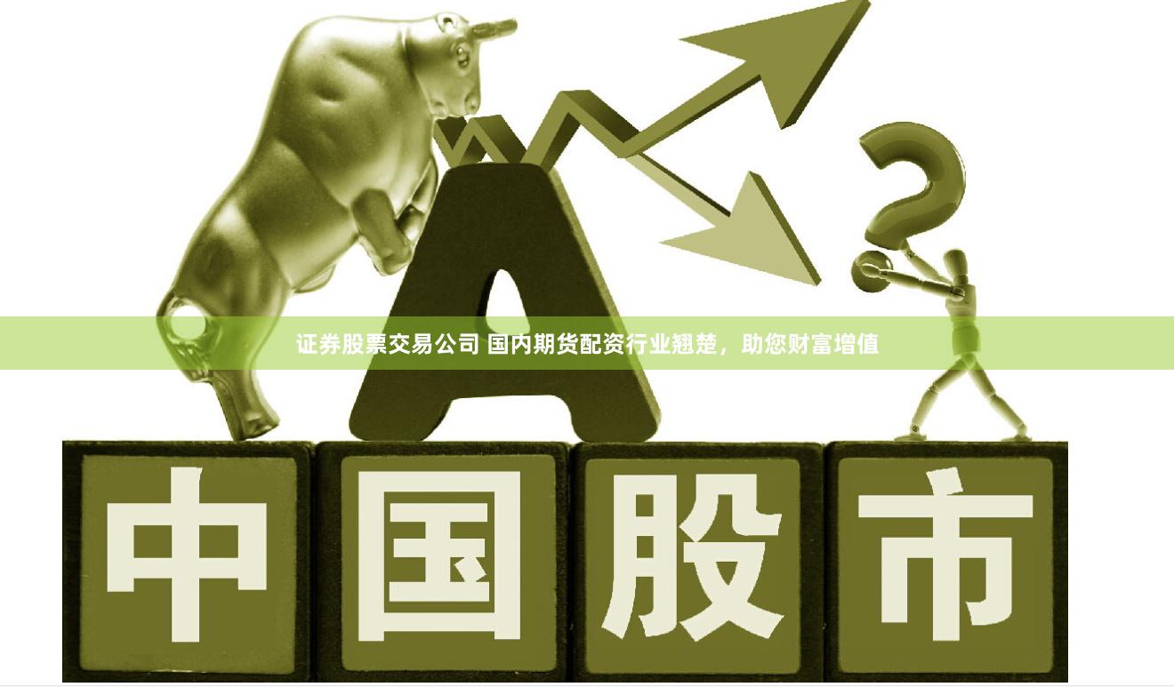 证券股票交易公司 国内期货配资行业翘楚，助您财富增值