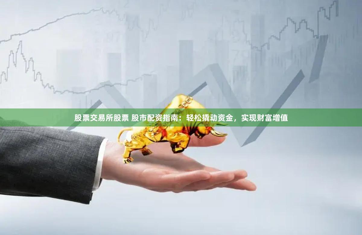 股票交易所股票 股市配资指南：轻松撬动资金，实现财富增值